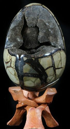 Septarian Dragon Egg Geode - Black Crystals #55708